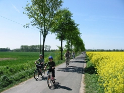 Radfahrergruppe © Stadt Drensteinfurt